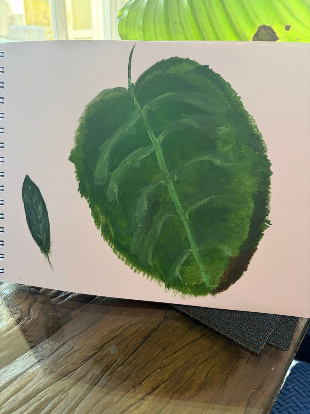 What I’ve been doing this morning&nbsp;🤩